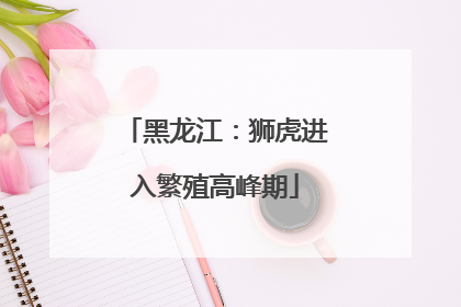 黑龙江：狮虎进入繁殖高峰期