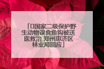 ﻿国家二级保护野生动物误食鱼钩被送医救治 郑州惠济区林业局回应