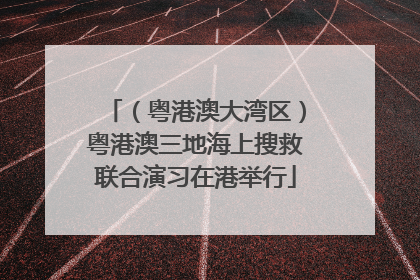 （粤港澳大湾区）粤港澳三地海上搜救联合演习在港举行