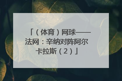 （体育）网球——法网：辛纳对阵阿尔卡拉斯（2）