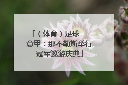 （体育）足球——意甲：那不勒斯举行冠军巡游庆典