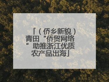 （侨乡新貌）青田“侨贸网络”助推浙江优质农产品出海