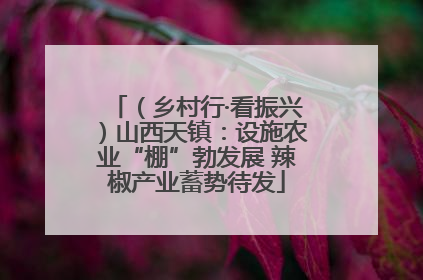 （乡村行·看振兴）山西天镇：设施农业“棚”勃发展 辣椒产业蓄势待发