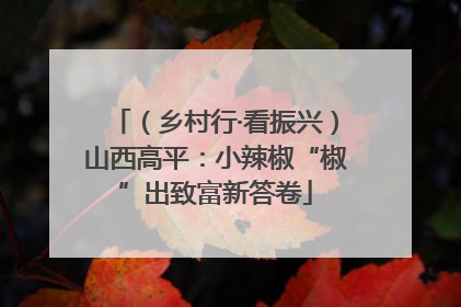 （乡村行·看振兴）山西高平：小辣椒“椒”出致富新答卷