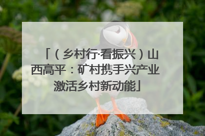 （乡村行·看振兴）山西高平：矿村携手兴产业 激活乡村新动能