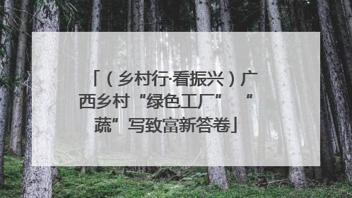（乡村行·看振兴）广西乡村“绿色工厂” “蔬”写致富新答卷
