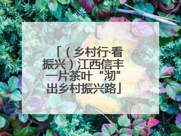 （乡村行·看振兴）江西信丰一片茶叶“沏”出乡村振兴路