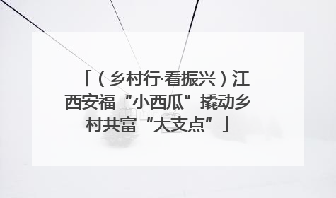 （乡村行·看振兴）江西安福“小西瓜”撬动乡村共富“大支点”