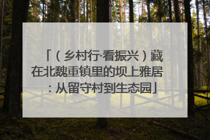 （乡村行·看振兴）藏在北魏重镇里的坝上雅居：从留守村到生态园