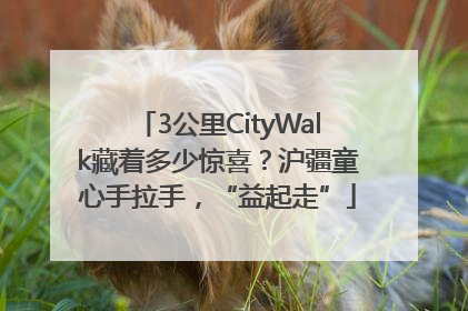 3公里CityWalk藏着多少惊喜？沪疆童心手拉手，“益起走”