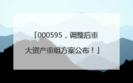 000595，调整后重大资产重组方案公布！