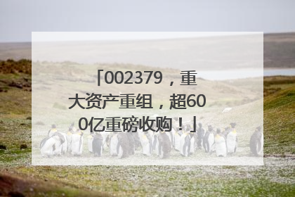 002379，重大资产重组，超600亿重磅收购！