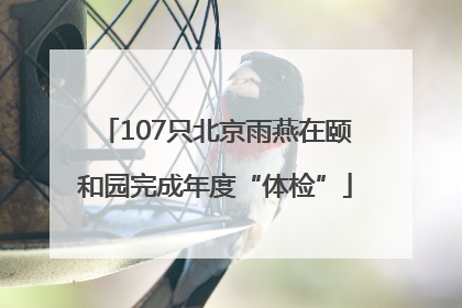 107只北京雨燕在颐和园完成年度“体检”