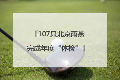107只北京雨燕完成年度“体检”