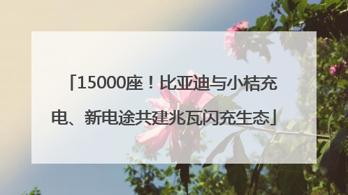 15000座！比亚迪与小桔充电、新电途共建兆瓦闪充生态