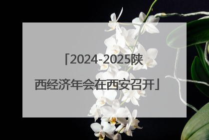 2024-2025陕西经济年会在西安召开