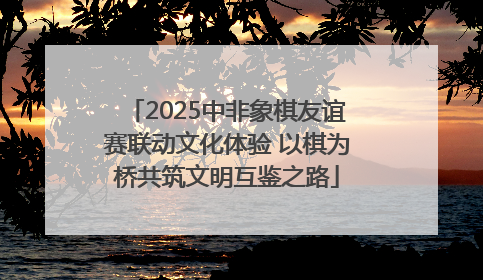 2025中非象棋友谊赛联动文化体验 以棋为桥共筑文明互鉴之路