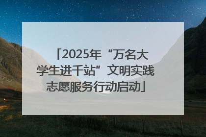2025年“万名大学生进千站”文明实践志愿服务行动启动