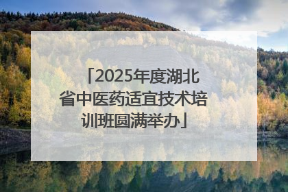2025年度湖北省中医药适宜技术培训班圆满举办