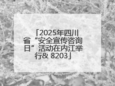 2025年四川省“安全宣传咨询日”活动在内江举行& 8203