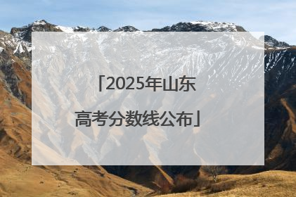 2025年山东高考分数线公布