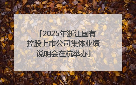 2025年浙江国有控股上市公司集体业绩说明会在杭举办