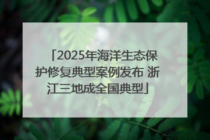 2025年海洋生态保护修复典型案例发布 浙江三地成全国典型