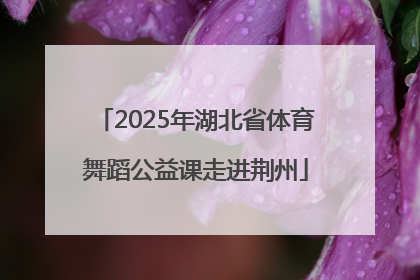 2025年湖北省体育舞蹈公益课走进荆州