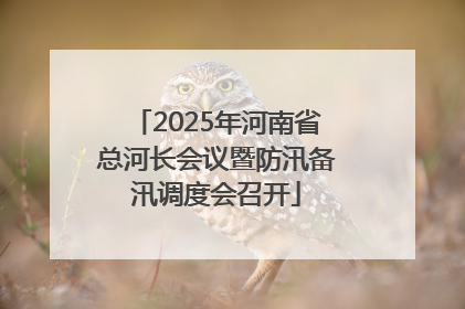 2025年河南省总河长会议暨防汛备汛调度会召开