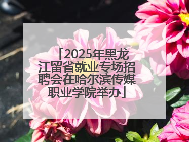 2025年黑龙江留省就业专场招聘会在哈尔滨传媒职业学院举办