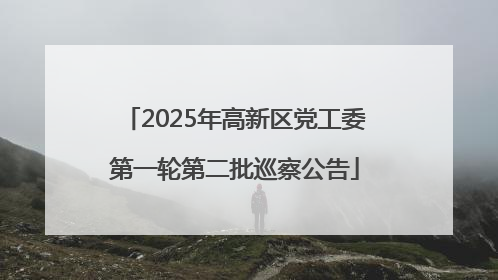 2025年高新区党工委第一轮第二批巡察公告