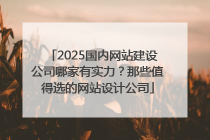 2025国内网站建设公司哪家有实力？那些值得选的网站设计公司