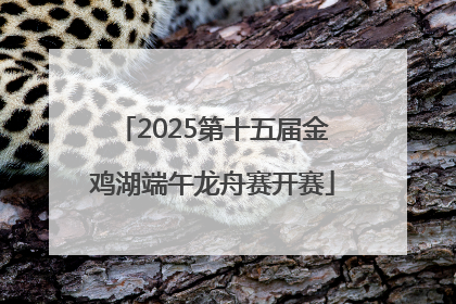 2025第十五届金鸡湖端午龙舟赛开赛