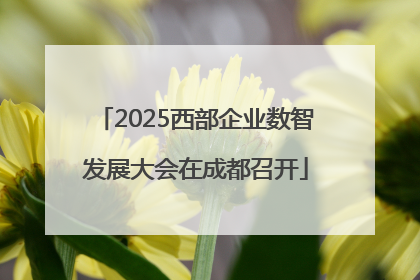 2025西部企业数智发展大会在成都召开