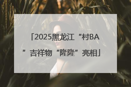 2025黑龙江“村BA”吉祥物“隆隆”亮相