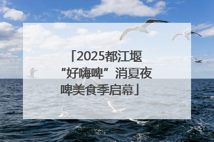 2025都江堰“好嗨啤”消夏夜啤美食季启幕