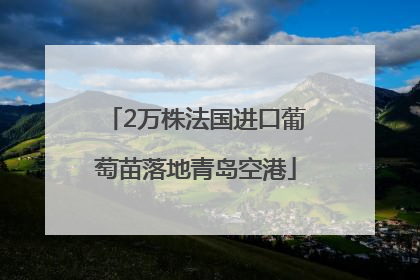 2万株法国进口葡萄苗落地青岛空港