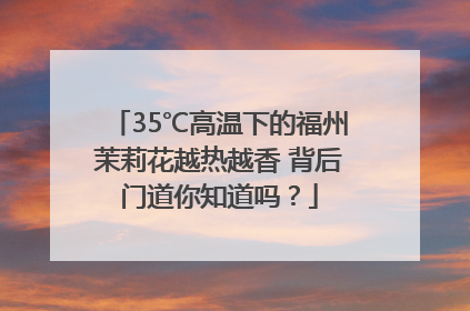 35℃高温下的福州茉莉花越热越香 背后门道你知道吗？