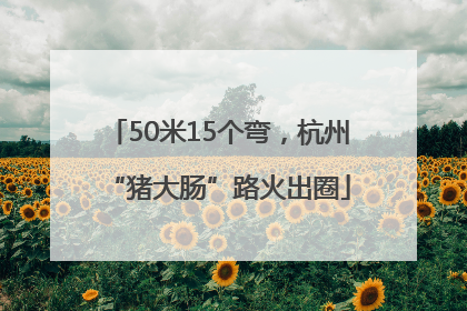 50米15个弯，杭州“猪大肠”路火出圈
