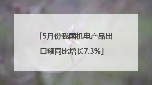 5月份我国机电产品出口额同比增长7.3%