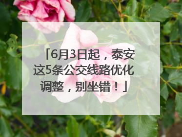 6月3日起，泰安这5条公交线路优化调整，别坐错！