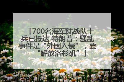 700名海军陆战队士兵已抵达 特朗普：骚乱事件是“外国入侵”，要“解放洛杉矶”