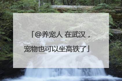 @养宠人 在武汉，宠物也可以坐高铁了