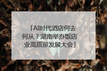 AI时代酒店何去何从？湖南举办饭店业高质量发展大会