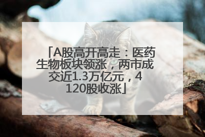 A股高开高走：医药生物板块领涨，两市成交近1.3万亿元，4120股收涨